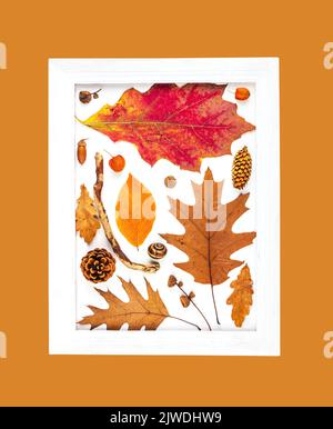 Herbstkomposition aus trockenen Blättern in einem weißen Bilderrahmen isoliert auf einem orangen Hintergrund Draufsicht Stockfoto