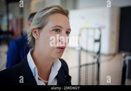 05. September 2022, Berlin: Alice Weidel, Bundesvorsitzende der AfD und Fraktionsvorsitzende, kommt zu Beginn der Fraktionssitzung ihrer Partei zu einer Presseerklärung. Thema der Bundestagssitzungswoche ist die Einführung des Haushaltsgesetzes 2023. Foto: Kay Nietfeld/dpa Stockfoto