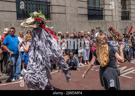 Penglaz, der Penzance Obby Oss und der Teazer, der Bucca, führten am Mazey Day eine Prozession während des Golowan Festivals in Cornwall in England in Großbritannien an. Stockfoto