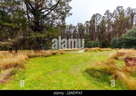 Das historische und verlassene Cambarville Historic Village auf der Marysville Woods Point Rd in der Nähe von Marysville in Victoria, Australien Stockfoto