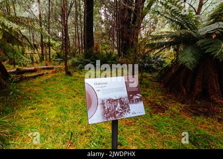 Cambarville Historic Village in Victoria Australien Stockfoto