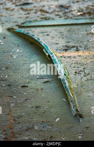 Altes Verlassene Hölzerne Ruderboot Überflutet. Konzept Der Vergessenen Dinge. Hoffnungslosigkeit, Verlust Der Normalität. Boot Schwimmt Nie Wieder. Depressive Stimmung. Vertikal Stockfoto