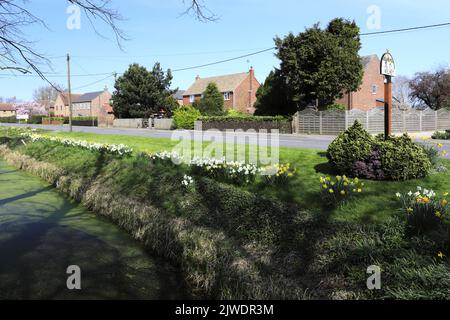 Frühlingsansicht in Welney Village, Cambridgeshire, England, Großbritannien Stockfoto