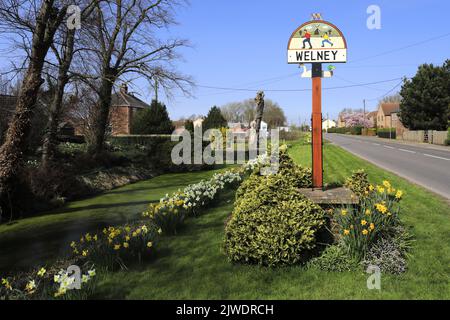 Frühlingsansicht in Welney Village, Cambridgeshire, England, Großbritannien Stockfoto