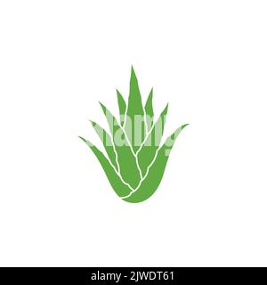 Grüne Aloe Vera Pflanze Icon Design. Aloe Vera-Blattsymbol. Symbol der Aloe Vera-Pflanze. Vektorgrafik Stock Vektor