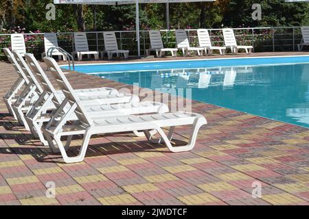 Am Pool. Sonnenliegen in der Nähe des Swimmingpools, umgeben von Pinien Stockfoto