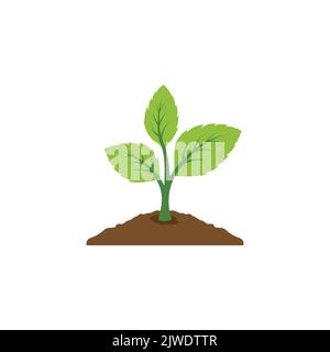 Pflanzen-Symbol-Vektor. Blatt wächst Design. Seed- und Seeding-Vektorsymbol. Flaches Design wachsende Pflanze oder Baum Logo Symbol. Vektorgrafik Stock Vektor