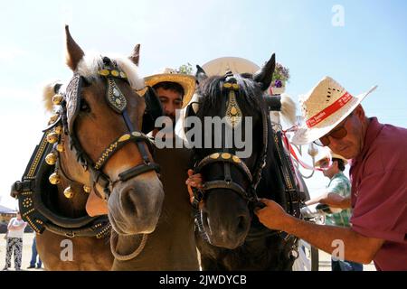 Barcelona, Katalonien, Spanien, 4. Juli 2022: Pferde und zwei Männer während der Wallfahrt der Jungfrau von El Rocio Stockfoto
