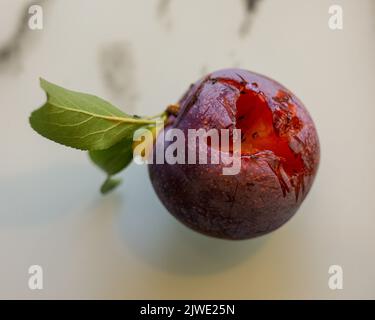 Eine Nahaufnahme von Insekten, die Pflaumen fressen Stockfoto