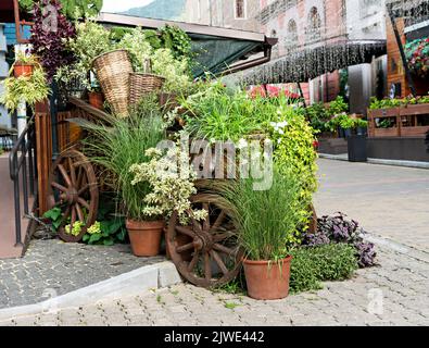 Stall mit verschiedenen Topfpflanzen und Blumen außerhalb Blumengeschäft Gartenmarkt Stockfoto