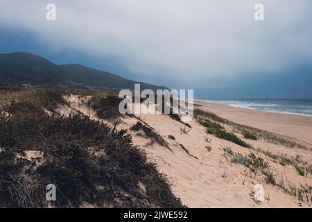 Landschaft von Quiaios Beach, Portugal an einem nebligen Tag mit launischer Atmosphäre. Wilde Strandküste des Atlantischen Ozeans mit Sanddünen, die mit Gras bedeckt sind Stockfoto