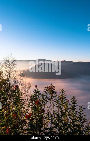 Mount Bromo durch Morgennebel, Bromo-Tengger-Semeru Nationalpark, Ost-Java, Indonesien Stockfoto