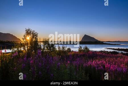 Mitternachtssonne von Gimsoy, Lofoten, Nordland, Norwegen Stockfoto