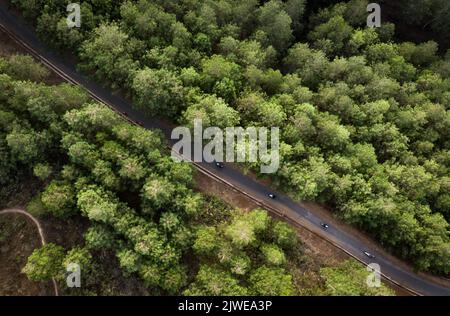 Luftaufnahme von Motorradfahrern und Fußgängern auf einer Straße in einem Kiefernwald, North Bandung, West Java, Indonesien Stockfoto