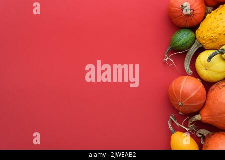 Hintergrund mit festlichem Herbstdekor aus Kürbissen und dekorativen Kürbissen. Konzept des Thanksgiving-Tages oder Halloween mit Platz für Text Stockfoto