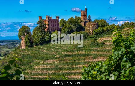 Blick auf das Schloss Ortenberg umgeben von Weinbergen Ortenberg, Baden Württemberg, Deutschland Stockfoto