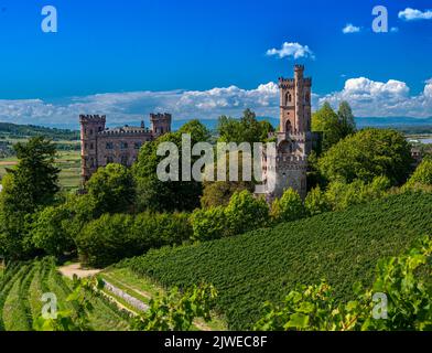 Blick auf das Schloss Ortenberg umgeben von Weinbergen Ortenberg, Baden Württemberg, Deutschland Stockfoto