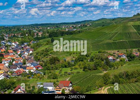 Blick vom Schloss Ortenberg auf die kleine Stadt Ortenberg, umgeben von Weinbergen. Baden Württemberg, Deutschland Stockfoto