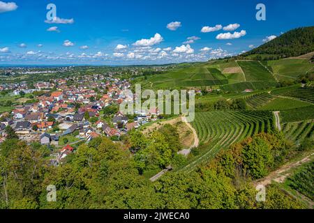 Blick vom Schloss Ortenberg auf die kleine Stadt Ortenberg, umgeben von Weinbergen. Baden Württemberg, Deutschland Stockfoto