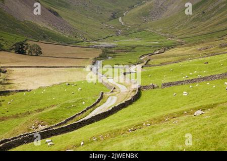 Strecke in Longsleddale, in den Far Eastern Fells des English Lake District, Cumbria Stockfoto