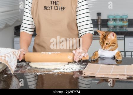 Eine Frau in einer Schürze, bevor sie Pizza zubereitet, rollt den Teig mit einem Nudelholz auf dem Küchentisch aus. Stockfoto