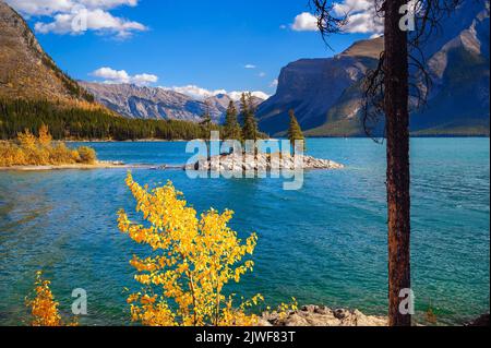 Kleine Insel mit Bäumen am Lake Minnewanka im Banff National Park, Kanada Stockfoto