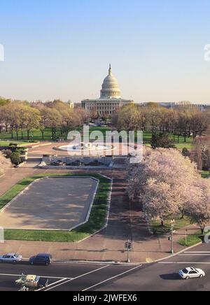 Capitol Building Washington DC USA. Kirschbäume im Frühling. Gebäude der US-Regierung. Nationales historisches Wahrzeichen Stockfoto