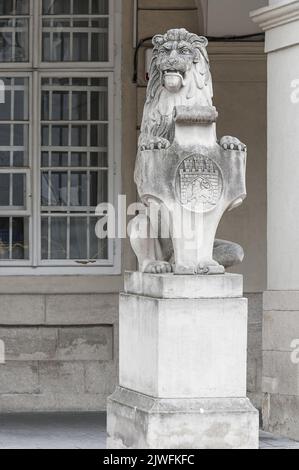 Die weiße Statue eines Löwen in Lemberg, Ukraine Stockfoto