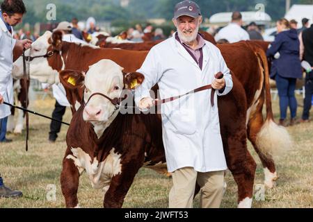 Die Moreton-in-Marsh Agricultural Show findet in Gloustenshire statt. Die Moreton Show wurde erstmals im Jahr 1949 auf dem gleichen Gelände abgehalten, auf dem sie seitdem steht - Teil des Batsford Estate - obwohl sie im Laufe der Jahre viel erweitert wurde. Ihr zugrundeliegender Zweck ist es, den Standard der Landwirtschaft und des landwirtschaftlichen Handwerks vor Ort zu verbessern. Stockfoto