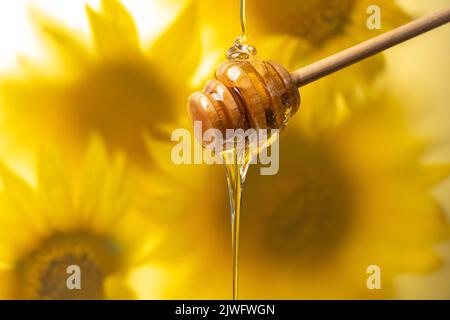 Honig fließt aus einem Honigstock gegen einen Bokeh-Hintergrund von Sonnenblumenblumen im Nebel. Werbekonzept. Stockfoto
