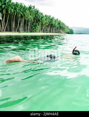 Mann schnorchelt im kristallgrünen Wasser Südostasiens. Im Hintergrund sieht man den Strand und die Palmen. Paradiesischer Ort Stockfoto