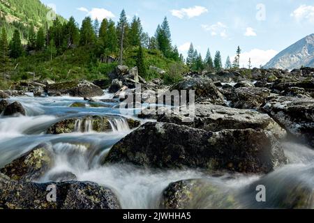 Katunsky Reserve, Russland. 04. August 2022. Stürmischer Strom des Flusses Multa auf dem Gebiet des Katunsky-Reservats im Altai-Gebirge. Nur vier Flugstunden von Moskau entfernt, befinden Sie sich in einer völlig anderen Welt: Der Welt majestätischer junger Berge, breiter grüner Hügeltäler, Zedernwälder, turbulenter Flüsse und Gletscherseen. Altai! (Foto von Mihail Siergiejevicz/SOPA Images/Sipa USA) Quelle: SIPA USA/Alamy Live News Stockfoto