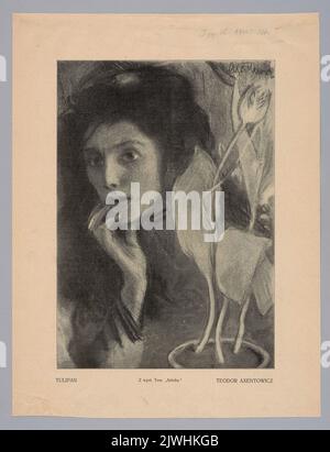 Reproduktion eines Gemäldes Axntowicz, Teodor (1859-1938), Einer Tulpe; aus: 'Tygodnik Ilustowany' 1904, 1, 281. Tygodnik Ilustowany (Warszawa ; czasopismo ; 1859-1939), Verleger Stockfoto