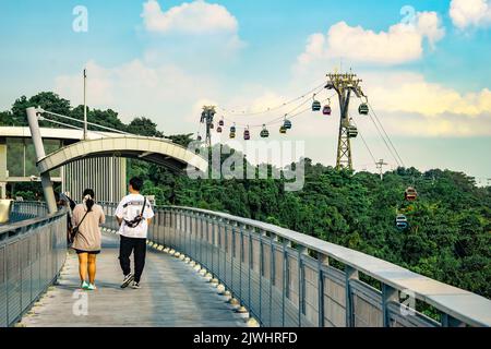 Fort Siloso Skywalk, der 11 Stockwerke hohe Skywalk Trail bietet Gästen eine malerische Baumwipfelwanderung auf dem Weg nach Fort Siloso. Stockfoto