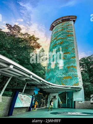 Fort Siloso Skywalk, der 11 Stockwerke hohe Skywalk Trail bietet Gästen eine malerische Baumwipfelwanderung auf dem Weg nach Fort Siloso. Stockfoto