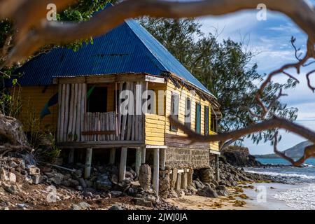 Gelbe Bungalows in einer familiengeführten Gastfamilie im Dorf auf der Nanuya Lailai Insel, Yasawa Inseln, Fidschi Stockfoto