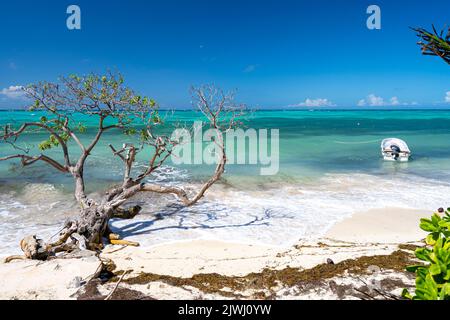 Kleines Boot vor Anker des tropischen Sandstrands, Nanuya Lai Lai Island, Yasawa Islands, Fiji Stockfoto