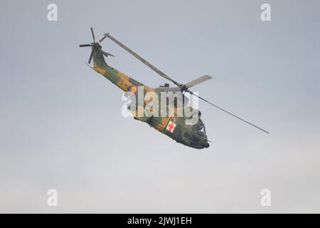 Bukarest, Rumänien - 4. September 2022: Militärhubschrauber der rumänischen Luftstreitkräfte IAR-330 Puma auf dem Flughafen Aurel Vlaicu in Bukarest während einer Stockfoto