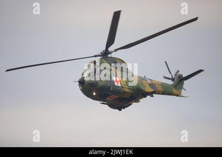 Bukarest, Rumänien - 4. September 2022: Militärhubschrauber der rumänischen Luftstreitkräfte IAR-330 Puma auf dem Flughafen Aurel Vlaicu in Bukarest während einer Stockfoto