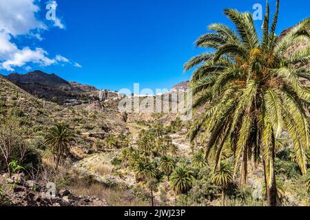 Gran Canarian Mountain Range in der Nähe von Cruz Grande und San Bartolome de Tirajana Mountains auf Gran Canaria in Spanien. Wanderung von San Bartolome nach Santa Luc Stockfoto