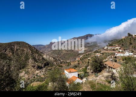 Tal von Tejeda auf Gran Canaria, Spanien. Die Berge des zentralen Teils der Insel, Wandern entlang der Barranco de Tejeda Stockfoto