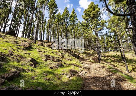 Gran Canaria Wanderroute Cruz de Tejeda nach Artenara, Blick in Caldera de Tejeda, Gran Canaria, Kanarische Inseln, Spanien Stockfoto