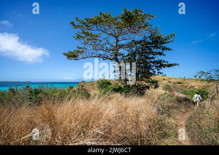 Einzelperson auf dem Wanderweg über die Insel Nanuya Lailai Yasawa Island, Fidschi Stockfoto