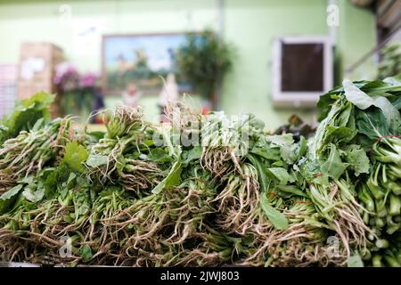 Grünes chinesisches Gemüse zum Verkauf in einem vietnamesischen Lebensmittelgeschäft in Cabramatta – Sydney, Australien Stockfoto