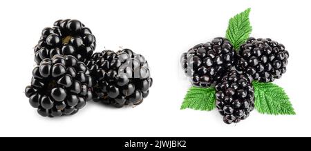 Blackberry isoliert auf einem weißen Hintergrund closeup Stockfoto