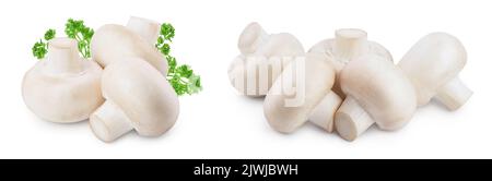 Frischer Champignon auf weißem Hintergrund isoliert Stockfoto