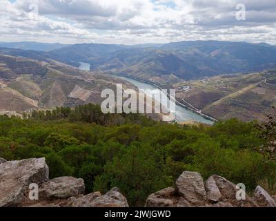 Erhöhte Aussicht auf das Douro-Tal und den Fluss, Portugal. Stockfoto