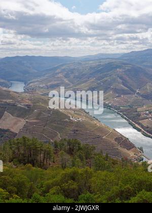 Erhöhte Aussicht auf das Douro-Tal und den Fluss, Portugal. Stockfoto