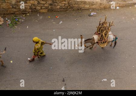 HARAR, ÄTHIOPIEN - 8. APRIL 2019: Esel transportiert ein Brennholz in Harar, Äthiopien Stockfoto