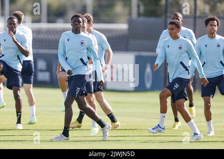 Brügge, Belgien, 06. September 2022, Noah Mbamba Muanda im Club Brugge KV, am Dienstag, den 06. September 2022 in Brügge, zur Vorbereitung des morgigen Spiels gegen den Deutschen Bayer 04 Leverkusen am Eröffnungstag der UEFA Champions League Gruppenphase. BELGA FOTO BRUNO FAHY Stockfoto
